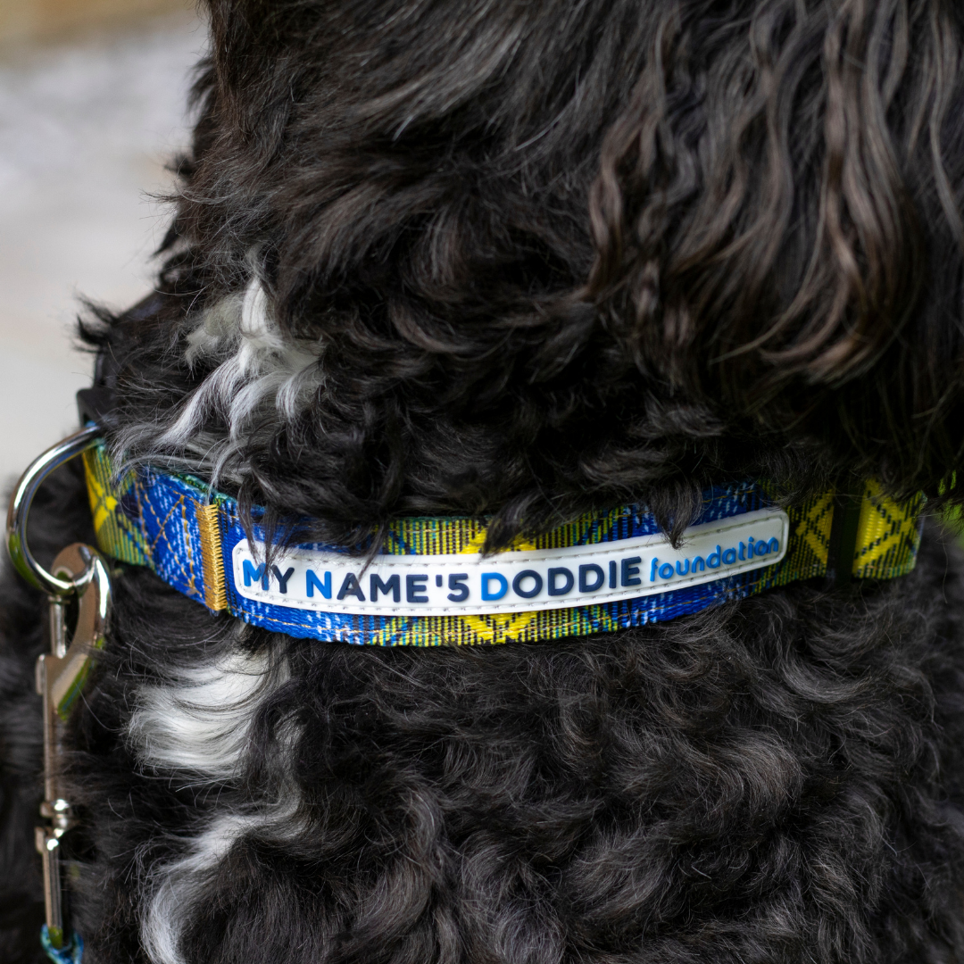 My Name'5 Doddie Dog Bundle