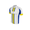 Road Retro Stripe Semi-Custom Road. (x 1)
